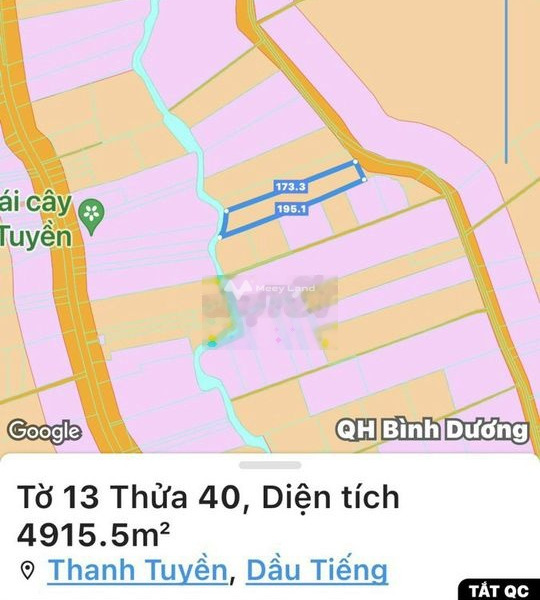 13.5 tỷ bán đất có diện tích chung là 5000m2 vị trí mặt tiền tọa lạc ngay tại Dầu Tiếng, Bình Dương-01