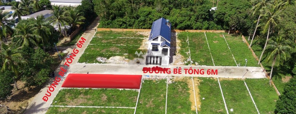 Bán đất 1.77 tỷ Trần Hưng Đạo, Dương Tơ có diện tích thực là 125m2-03