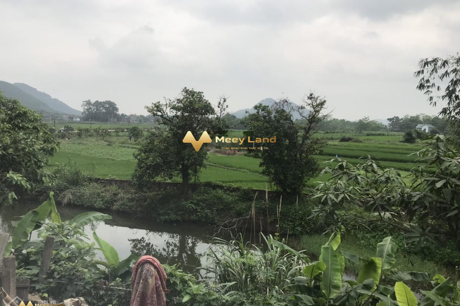 Yên Bình, Hà Nội 17.5 tỷ bán đất, hướng Bắc diện tích chung 4523 m2-01