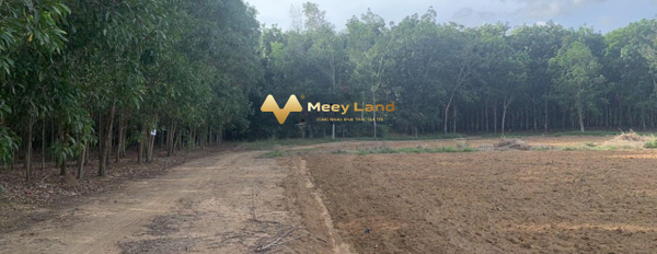 Xã Tân Hiệp, Huyện Long Thành bán đất giá cực kì tốt chỉ 1.9 tỷ, hướng Tây dt chung 1000 m2-02