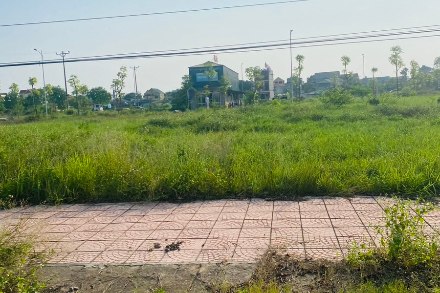 Bán vài ô đất đẹp tại khu phân lô đấu giá Lai Sơn, Đồng Tâm, Vĩnh Yên-01