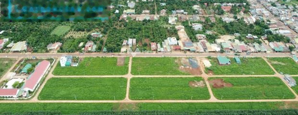 Tôi hiện đang bán trang trại 132m2 giá bán đề cử từ 900 triệu vị trí mặt tiền tọa lạc ngay ở Phú Lộc, Đắk Lắk-03
