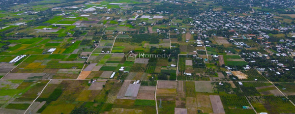 Cam Ranh, Khánh Hòa bán đất giá chỉ từ chỉ 3.5 tỷ diện tích rộng 3049.9m2-03