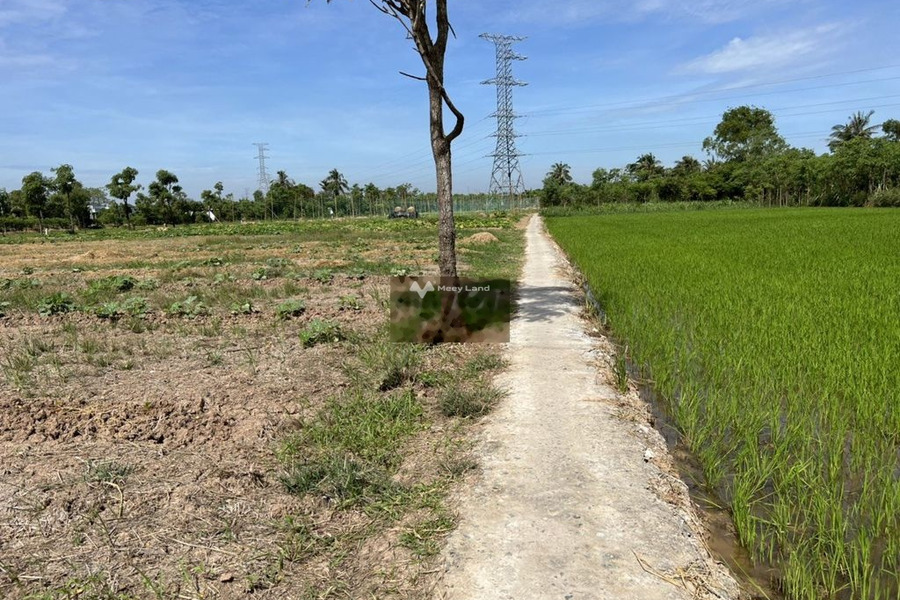 Bán đất 800 triệu Phước Trung, Gò Công Đông diện tích thực dài 1000m2-01