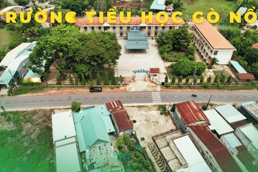 Ngay Ninh Điền, Tây Ninh bán đất 750 triệu có một diện tích 200m2-01