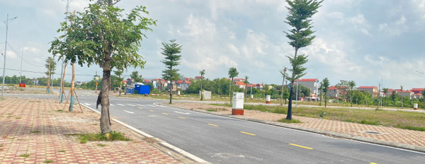 Bán đất nền Yên Dũng, Bắc Giang mặt đường Tỉnh lộ 398, đã có sổ đỏ-02