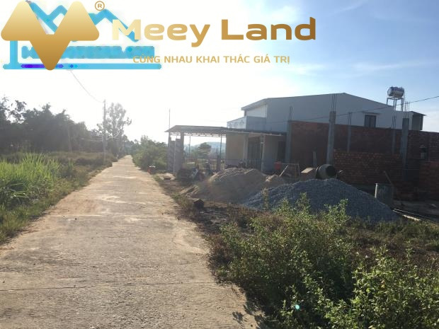 Đang thiếu tiền bán đất Tịnh Sơn, Quảng Ngãi giá bán cực rẻ chỉ 530 triệu diện tích thực tế 155 m2-01