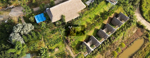 Tà Nung, Đà Lạt cho thuê đất thuê ngay với giá đặc biệt từ 18 tỷ/tháng diện tích cụ thể 5000m2-03