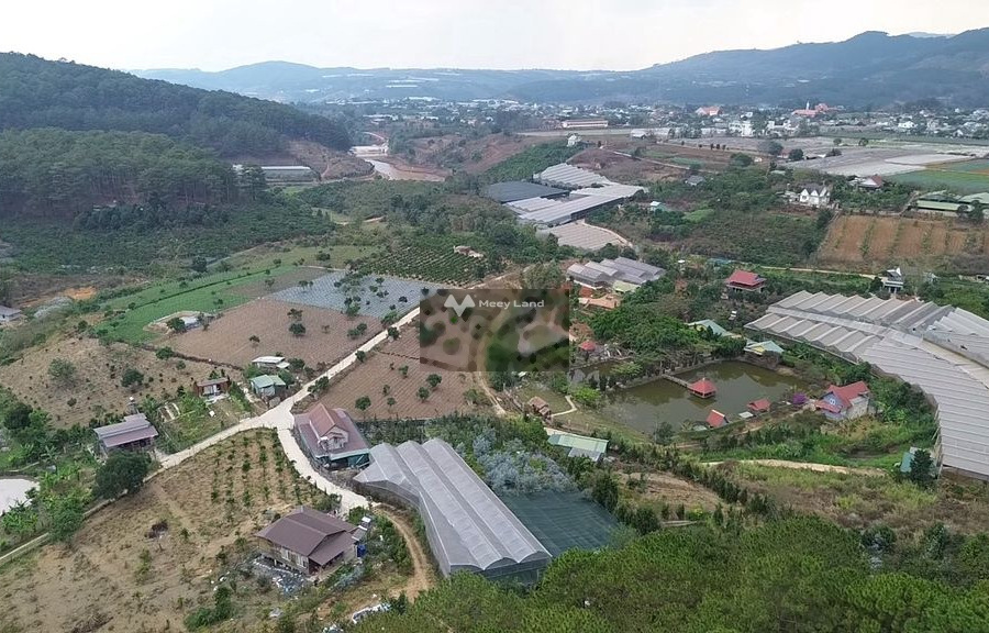 Có diện tích 3000m2 bán nhà vị trí mặt tiền tọa lạc gần Tà Nung, Đà Lạt hướng Tây Bắc nhìn chung có tổng 3 phòng ngủ 2 WC cảm ơn bạn đã đọc tin-01