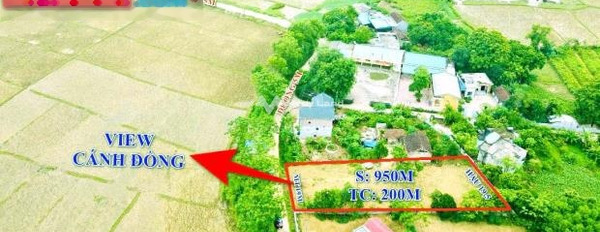 Giá bán khởi điểm 1.8 tỷ bán đất với diện tích là 952m2 vị trí tại Cao Dương, Lương Sơn-03
