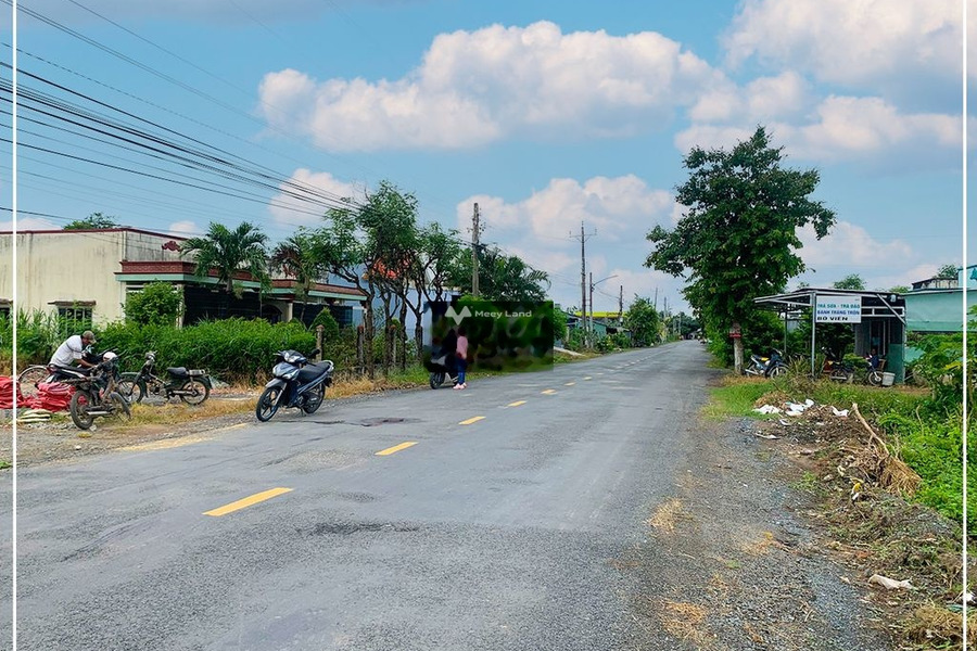 Vị trí đẹp ngay Hương Lộ 2, Tiền Giang bán đất giá hạt dẻ từ 550 triệu với diện tích khoảng 171m2-01