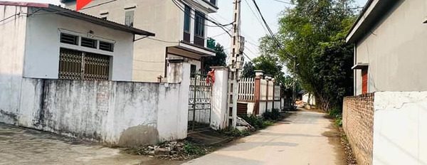 Cần bán nhà riêng huyện Tam Dương tỉnh Vĩnh Phúc, giá 1,2 tỷ-02