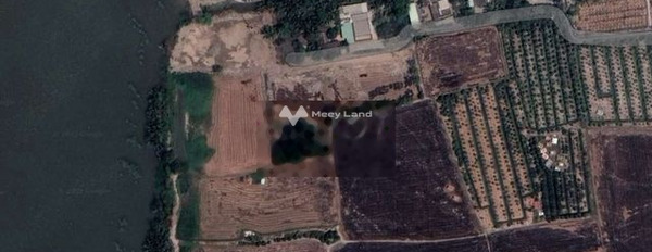 Vị trí cực kì thuận lợi ngay tại Mỹ Thạnh, Thủ Thừa cho thuê đất thuê ngay với giá hữu nghị chỉ 1.5 triệu/tháng diện tích rộng là 1500m2-02