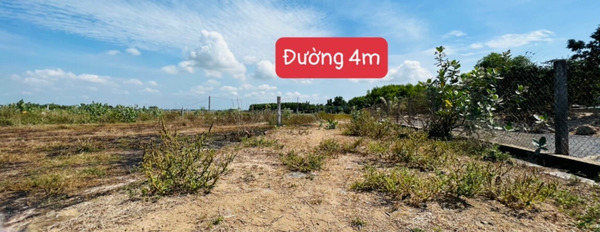Đất đẹp giá rẻ nhất xã Tam Phước, Long Điền, giá 2.5 tỷ-03