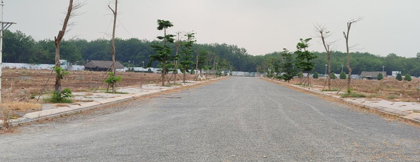 Bán đất 980 triệu Chánh Phú Hòa, Bến Cát có diện tích tiêu chuẩn 100m2-03