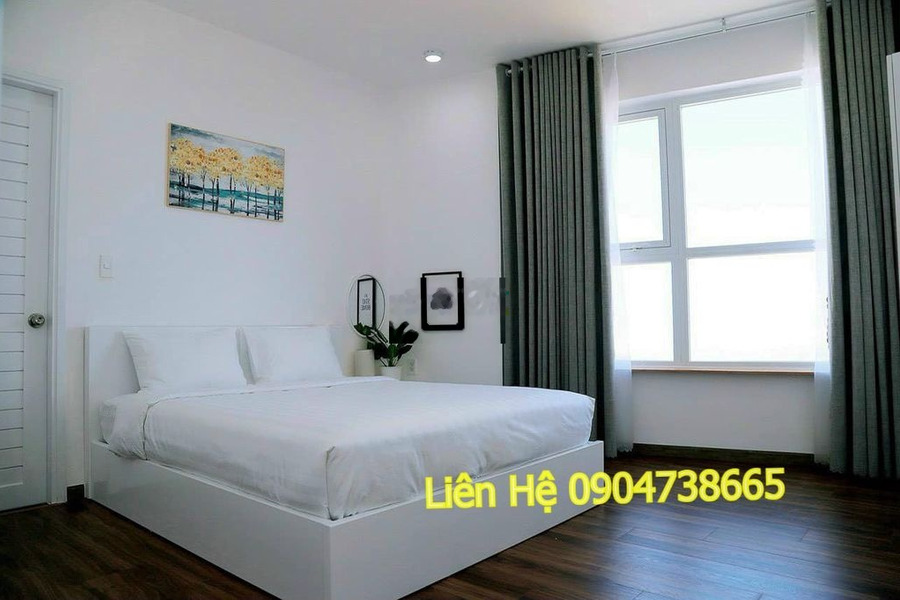 Cho thuê căn hộ chung cư Osaky Sơn Thịnh số 2 Lê Hồng Phong nối dài -01