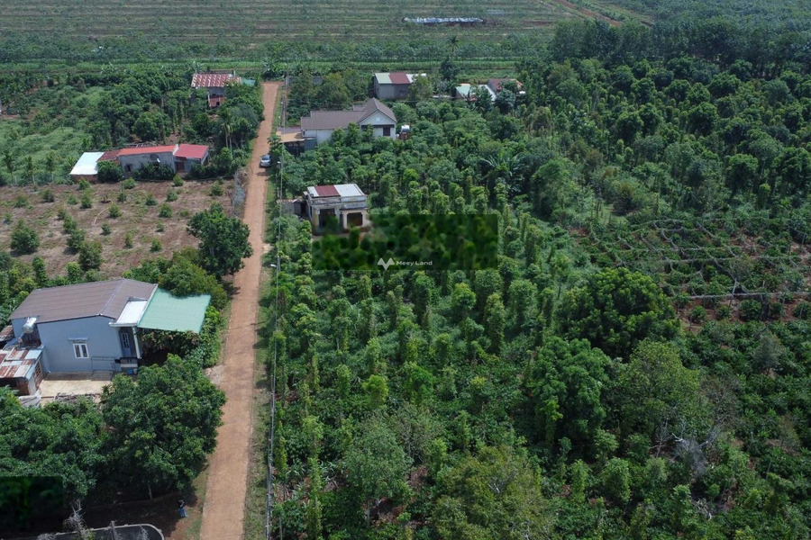 Giá 800 triệu bán đất Diện tích đất 317m2 vị trí hấp dẫn nằm ở Buôn Hồ, Đắk Lắk-01