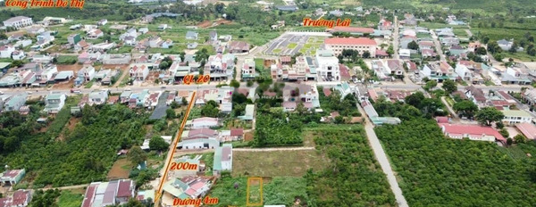 Do dịch bệnh bán đất Di Linh, Di Linh giá bán tốt từ 1.05 tỷ diện tích chính là 75m2-03