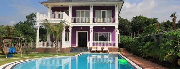 Violet Villa, Lương Sơn, Hòa Bình – Top biệt thự homestay nhà vườn đẹp, có bể bơi riêng cho thuê-03