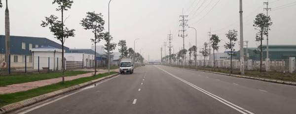 Bán 2ha đất khu công nghiệp Song Khê, Nội Hoàng, Bắc Giang đã sẵn mặt bằng hạ tầng, mặt đường lớn-03