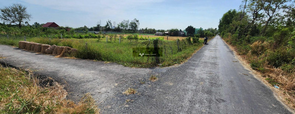 Long Hưng, Tiền Giang 910 triệu bán đất có diện tích khoảng 140m2-03