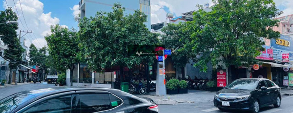 Nhà có 1 PN bán nhà ở có diện tích chính 198m2 bán ngay với giá chốt nhanh 24 tỷ vị trí thuận lợi ngay trên Tân Quý, Hồ Chí Minh-03