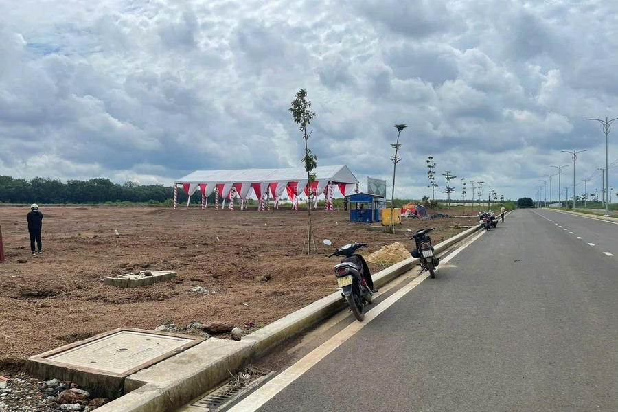 Bán đất diện tích rất rộng 400m2 vị trí thuận lợi tọa lạc tại Đồng Phú, Bình Phước-01