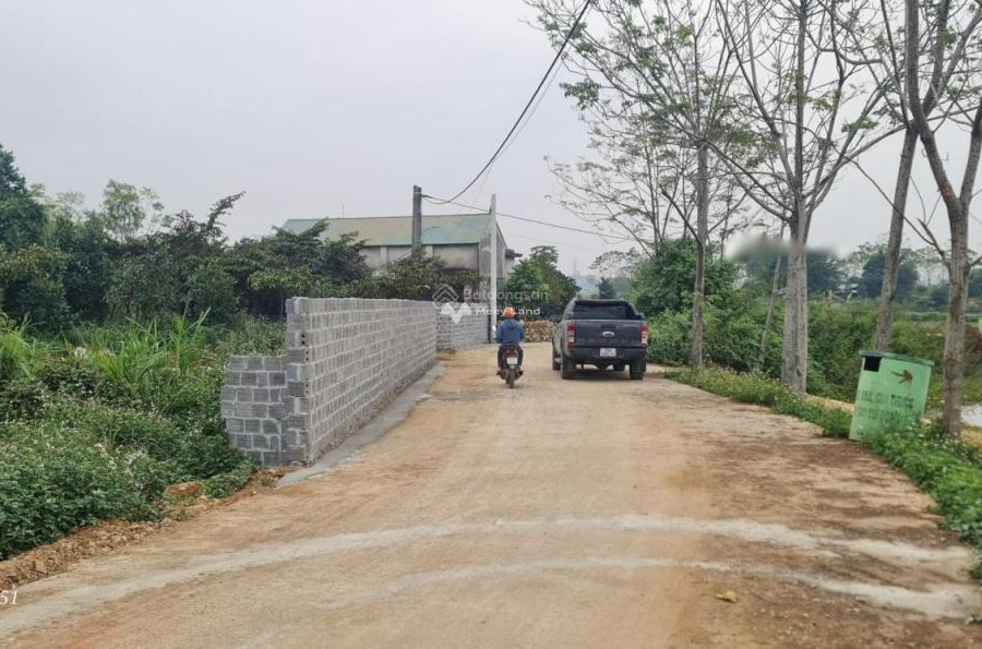 Vị trí thuận lợi tọa lạc ở Đông Yên, Hà Nội bán đất diện tích thực 7m2-01