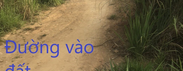 Hơn 1,2 mẫu đất vườn ở thôn 10, xã Lộc Nam, huyện Bảo Lâm, tỉnh Lâm Đồng giá 1,5 tỷ-03