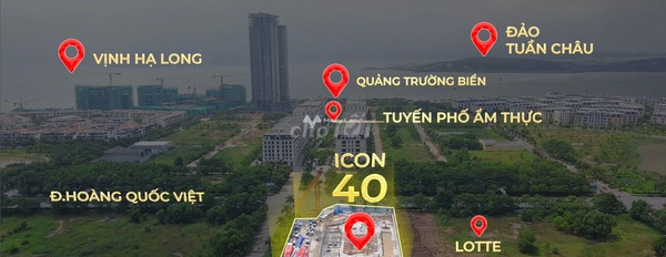 Chung cư 1 phòng ngủ, bán căn hộ vị trí đặt ngay tại Hạ Long, Quảng Ninh, tổng quan căn này có 1 PN, 1 WC hỗ trợ mọi thủ tục miễn phí, giá mùa dịch.-02
