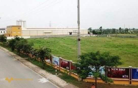 Chuyển nhượng 10.000m2 đất tại khu công nghiệp Phú Nghĩa