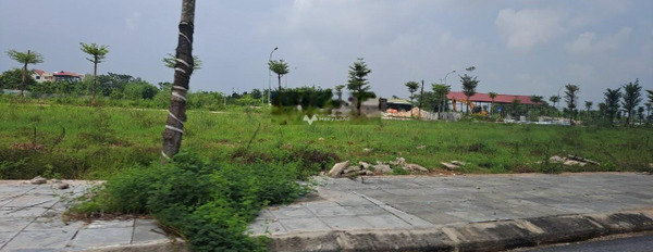 4.38 tỷ bán đất có một diện tích sàn 137m2 nằm ngay bên trong Tiền Châu, Vĩnh Phúc-03