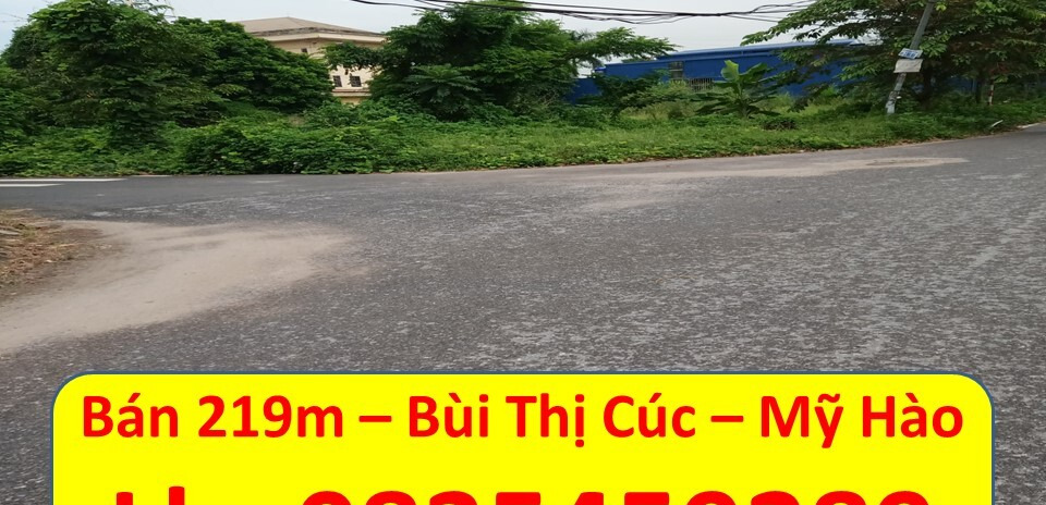 Bán đất diện tích lớn làm biệt thự, đẹp nhất, mặt đường Bùi Thị Cúc, Mỹ Hào