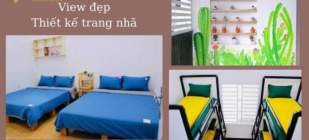 Cactus Home Phan Rang, homestay giá rẻ view đẹp tại Bình Thuận