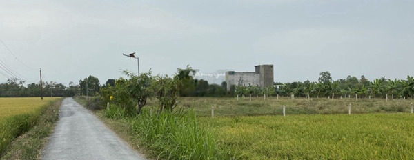 662 triệu bán đất Diện tích đất 305m2 vị trí đặt tọa lạc ở Gò Công Đông, Tiền Giang-02
