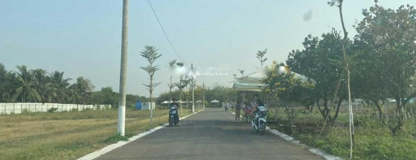Bán đất 800 triệu Trảng Bom, Đồng Nai có diện tích quy ước 100m2-03