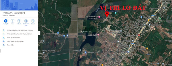 Vị trí đẹp tọa lạc tại Đồng Phú, Bình Phước bán đất giá mềm 1.1 tỷ diện tích khoảng là 128m2-02