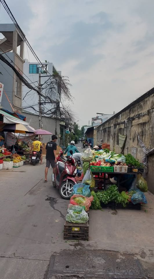 Bán nhà riêng huyện Hóc Môn thành phố Hồ Chí Minh giá 4.0 tỷ-2