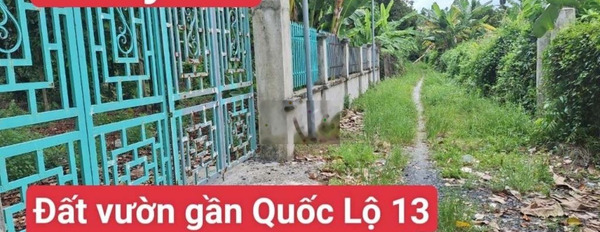 Đất Vườn măng cụt Đường Cách Mạng Tháng 8 vào 300m, An Thạnh,Thuận An -03