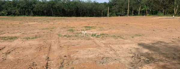 Nằm ngay Lộc Thiện, Bình Phước bán đất giá bán vô cùng rẻ 470 triệu với diện tích 1500m2-03