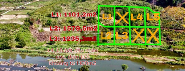 Có nhu cầu bán mảnh đất, 1012m2 giá hạt dẻ chỉ 799 triệu vị trí đặt vị trí nằm trên Tân Thành, Lâm Đồng gọi ngay!-02