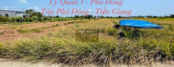 Phú Đông, Tiền Giang bán đất giá bán bất ngờ chỉ 290 triệu, hướng Tây Nam diện tích khoảng 755m2-03