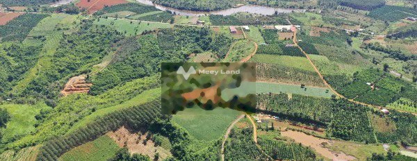 Vị trí ngay Quảng Sơn, Đăk Glong bán đất, giá mong muốn 450 triệu với tổng diện tích 1100m2-03