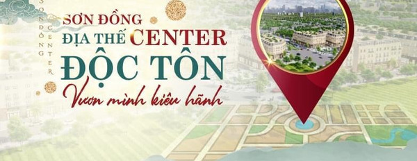 Pháp lí minh bạch sổ đỏ cầm tay đến ngay với dự án Sơn Đồng Center, chỉ từ 75 triệu/m2-03