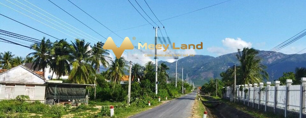 Ở Thị Xã Ninh Hòa, Tỉnh Khánh Hòa bán đất 600 triệu có dt trung bình 291 m2-03