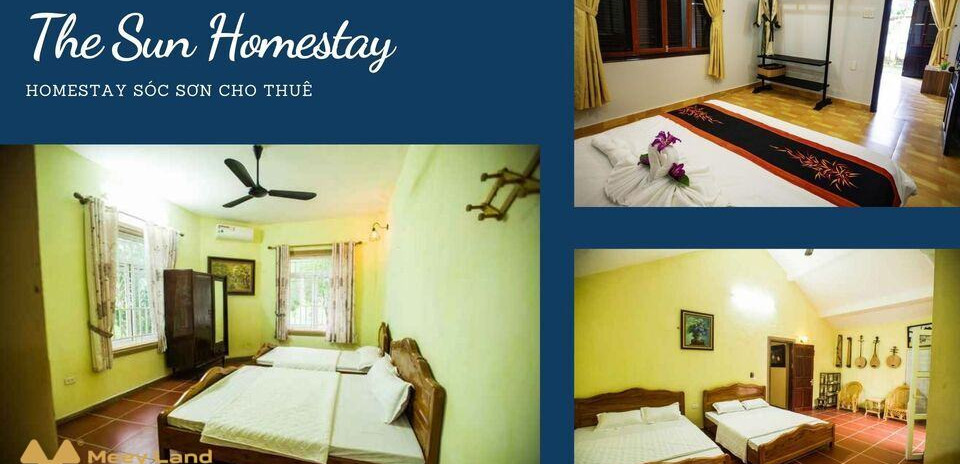 Cho thuê The Sun Homestay