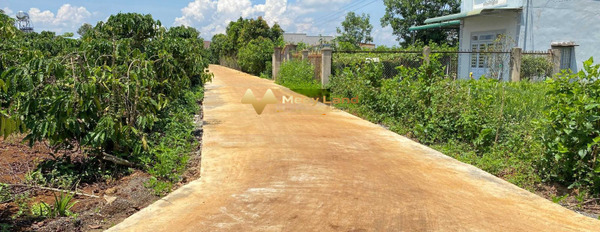 Bán đất tại Bình Thạnh, Đức Trọng, Lâm Đồng. Diện tích 3000m2, giá 3,3 tỷ-02