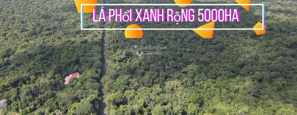 2.7 tỷ bán đất toàn bộ khu vực có diện tích 340m2 tọa lạc ở Ven Biển, Bưng Riềng-02