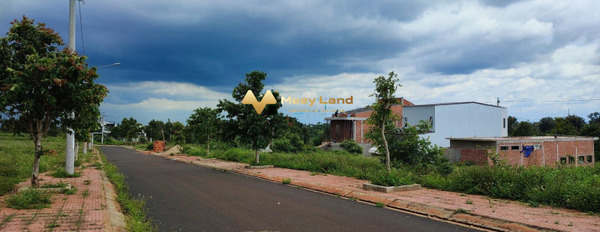 Bán đất vị trí đẹp gần Trần Hưng Đạo, Đắk Lắk, hướng Đông Bắc-03