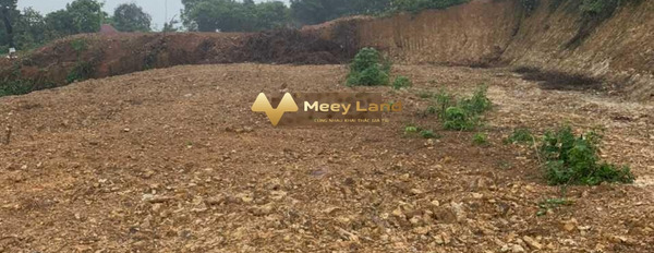 Bán đất vị trí mặt tiền tại Phú Sơn, Hà Nội. Diện tích 1554m2, giá 3,11 tỷ-03